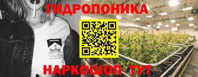 Альфа ПВП Аргун