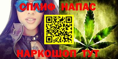 Альфа ПВП Аргун